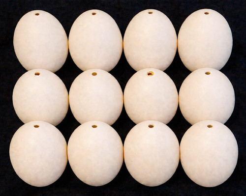 Empty blown goose eggs - empty,