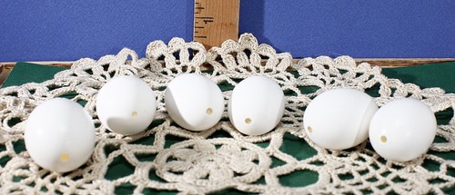 Real blown pigeon eggs - real,