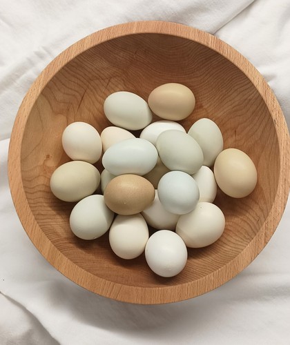 Vtg hollow chicken eggs - vtg,
